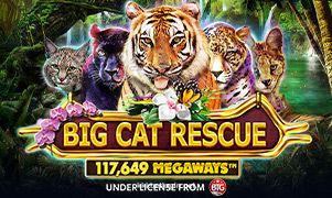 Imagem do jogo Big Cat Rescue Megaways da kkkbet