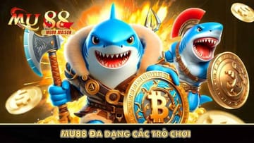 Experiência de jogo premium no kkkbet